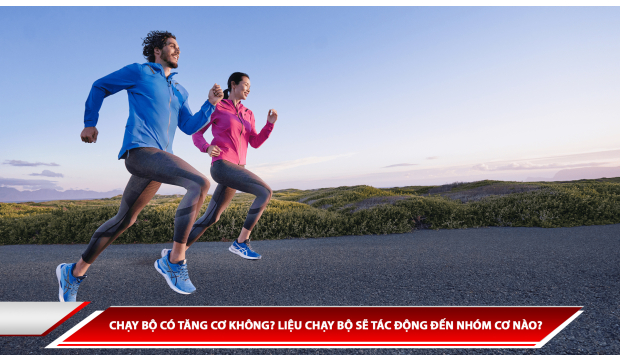 CHẠY BỘ CÓ TĂNG CƠ KHÔNG? LIỆU CHẠY BỘ SẼ TÁC ĐỘNG ĐẾN NHÓM CƠ NÀO?